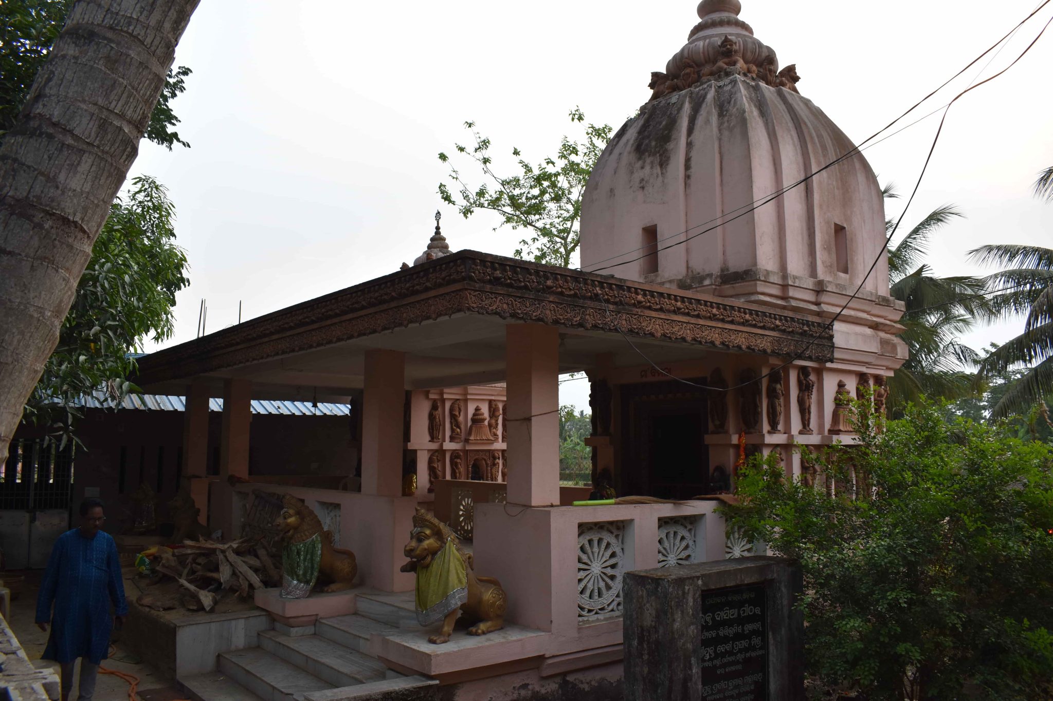 Temple View 8