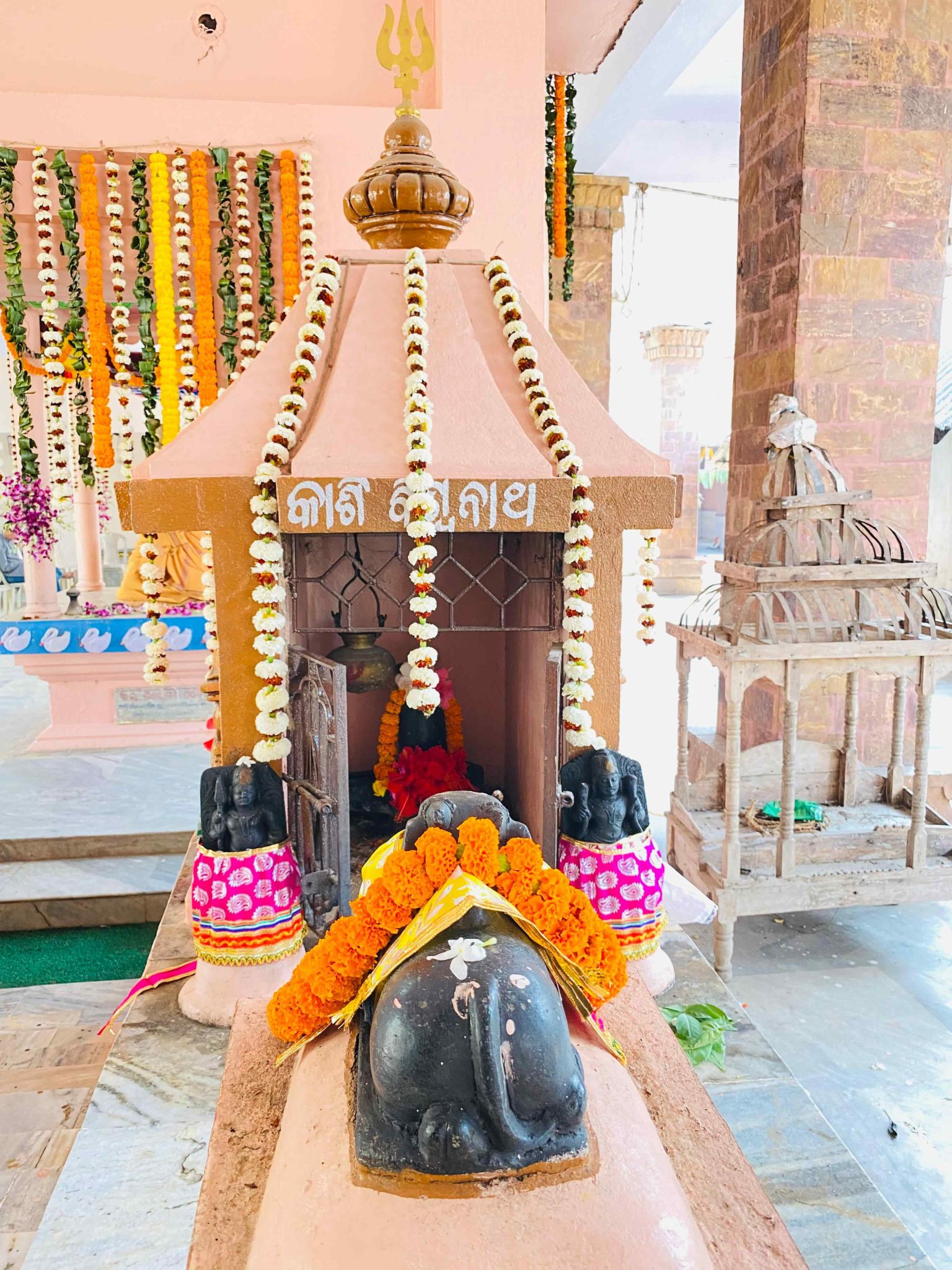 Temple View 7